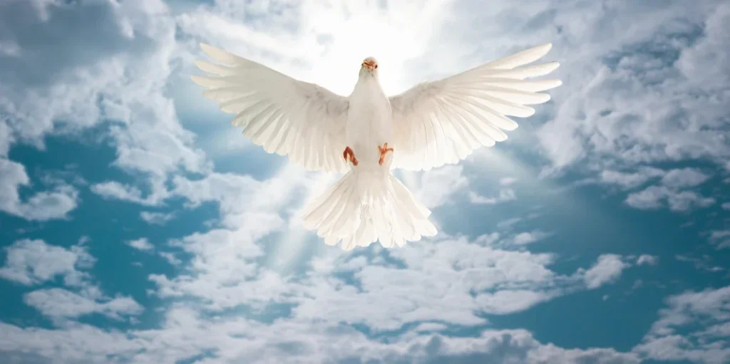 a pomba é um símbolo do espirito santo