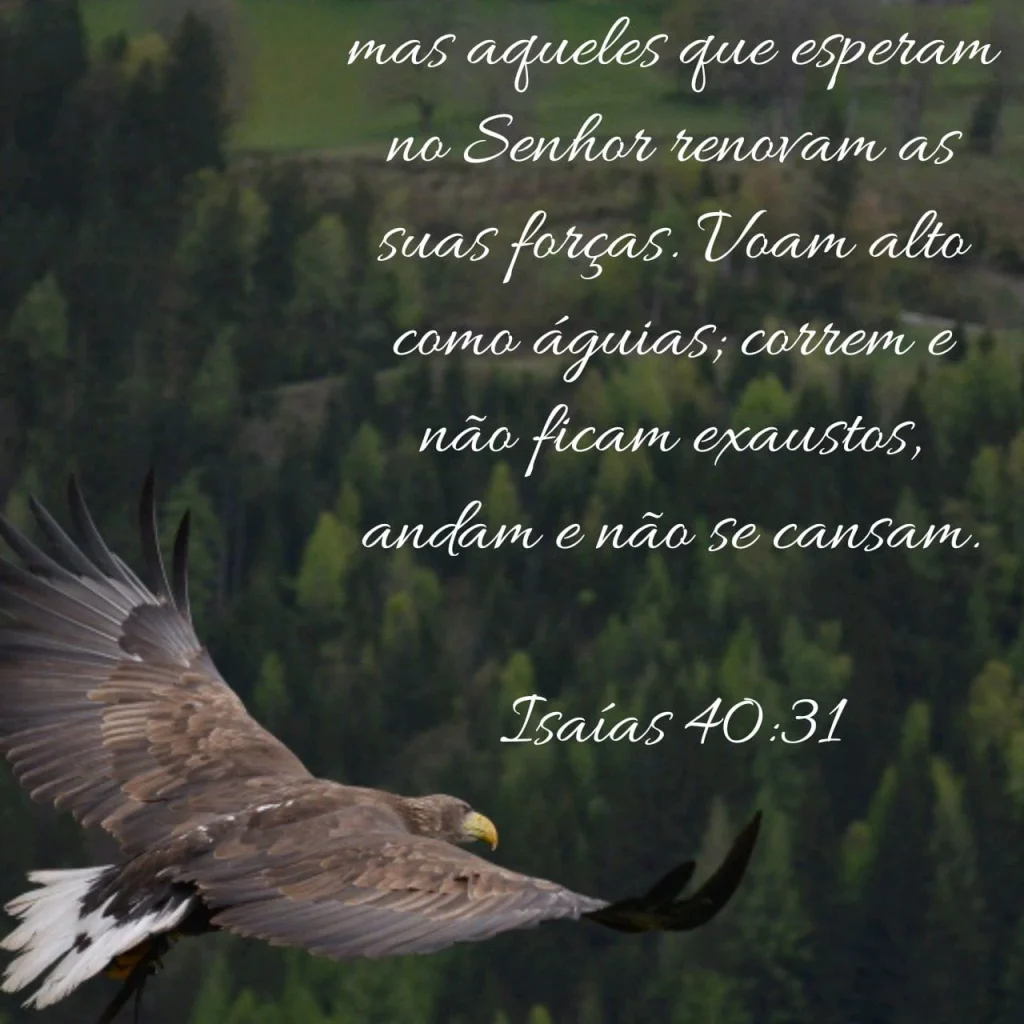 Aplicando o Versículo Isaías 40:31 às Nossas Vidas