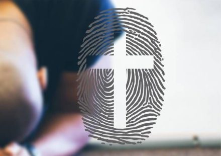 Dinâmicas Para Célula Sobre Identidade