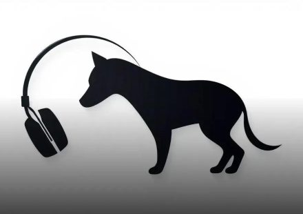 Sonhar com cachorro segundo a bíblia: Significados poderosos que você precisa saber