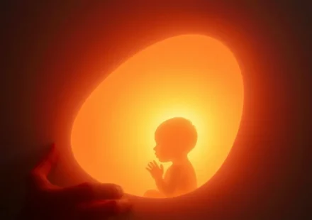 Um bebê no ventre materno, iluminado por uma luz divina, simbolizando o conhecimento de Deus.