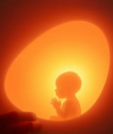 Um bebê no ventre materno, iluminado por uma luz divina, simbolizando o conhecimento de Deus.