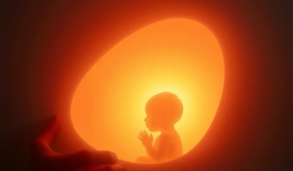 Um bebê no ventre materno, iluminado por uma luz divina, simbolizando o conhecimento de Deus.