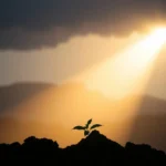 Imagem conceitual de esperança e fidelidade de Deus em meio a uma crise.