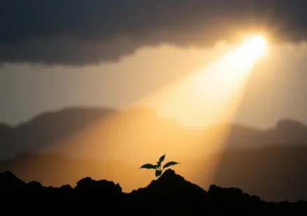 Imagem conceitual de esperança e fidelidade de Deus em meio a uma crise.
